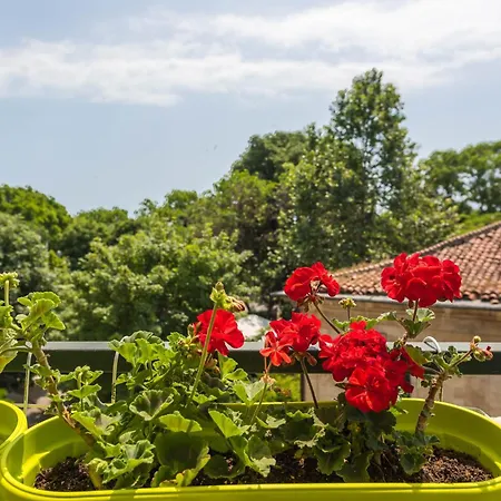 Apartment Aristocratic To The Sea Garden Varna